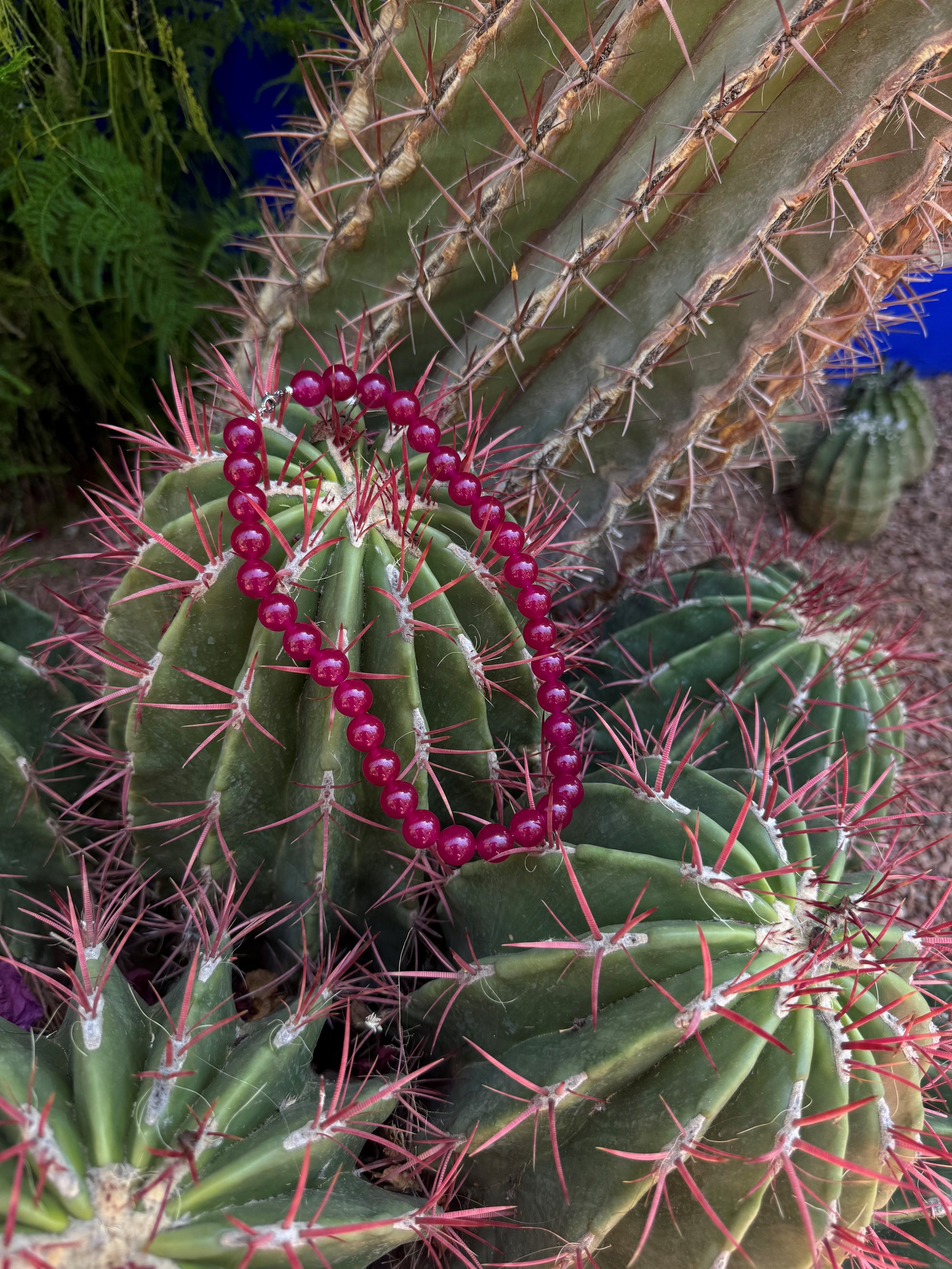 Pitaya, 12mm